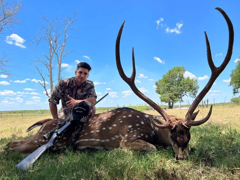 Rancho-Salvaje-Safaris-Axis-Deer-1