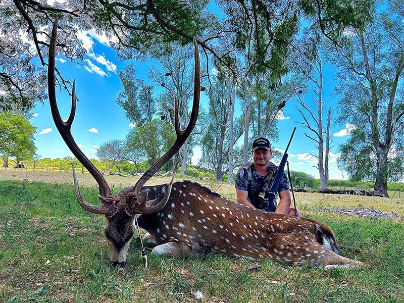 Rancho-Salvaje-Safaris-Axis-Deer-2