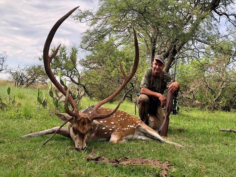 Rancho-Salvaje-Safaris-Axis-Deer-4