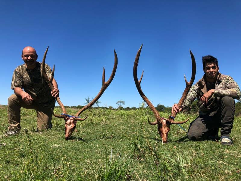 Rancho-Salvaje-Safaris-Axis-Deer-8