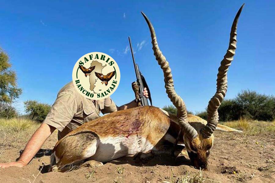 Rancho-Salvaje-Safaris-Blackbuck-1