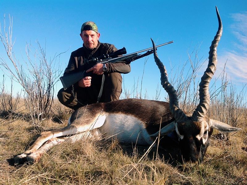 Rancho-Salvaje-Safaris-Blackbuck-7