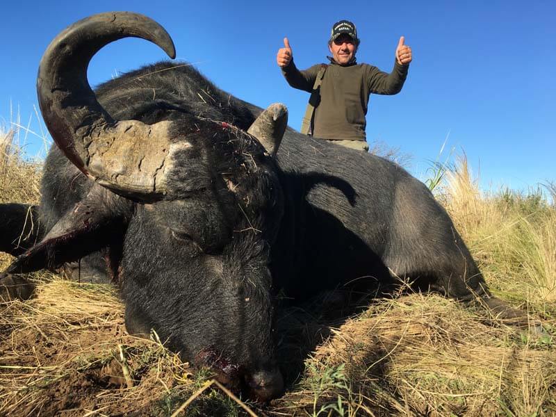 Rancho-Salvaje-Safaris-Buffalo-11