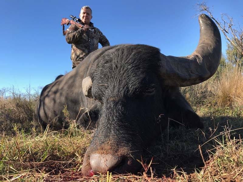 Rancho-Salvaje-Safaris-Buffalo-12