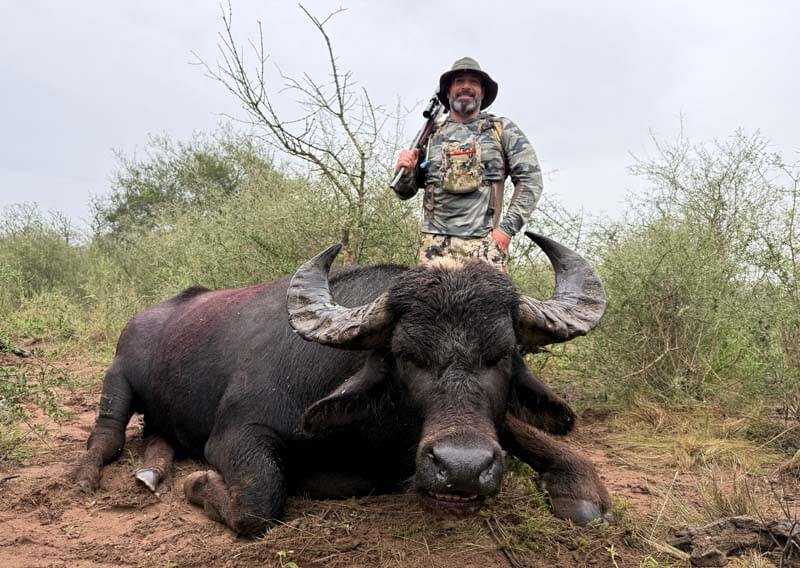 Rancho-Salvaje-Safaris-Buffalo-13