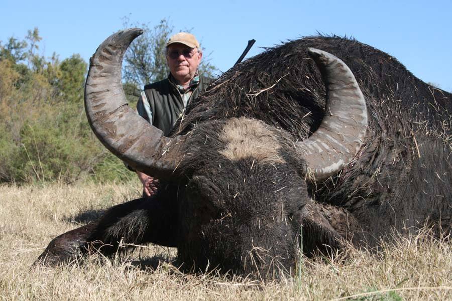 Rancho-Salvaje-Safaris-Buffalo-3