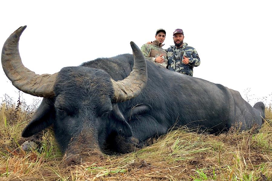 Rancho-Salvaje-Safaris-Buffalo-4