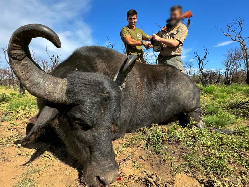 Rancho-Salvaje-Safaris-Buffalo-5
