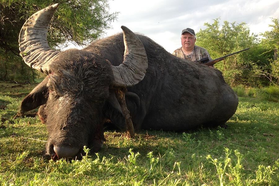 Rancho-Salvaje-Safaris-Buffalo-6
