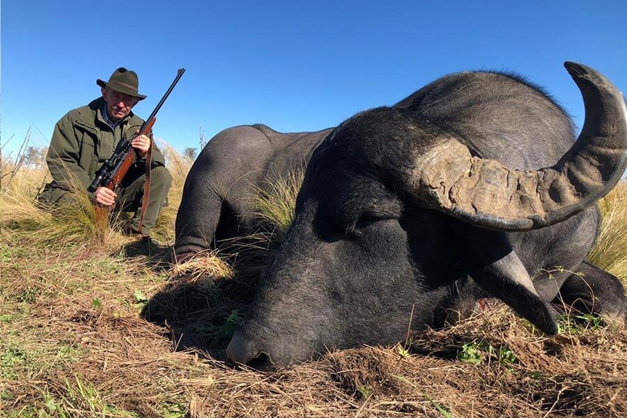 Rancho-Salvaje-Safaris-Buffalo-7