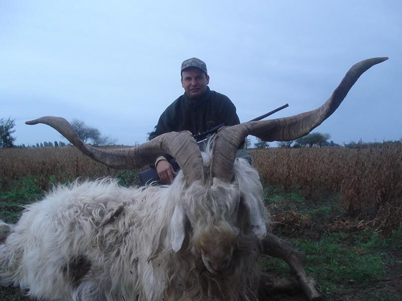 Rancho-Salvaje-Safaris-Exotic-10