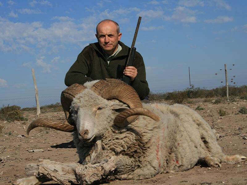 Rancho-Salvaje-Safaris-Exotic-4