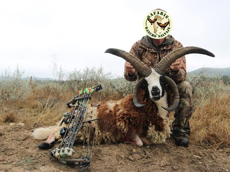 Rancho-Salvaje-Safaris-Exotic-6