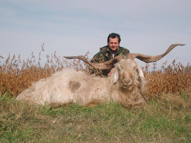 Rancho-Salvaje-Safaris-Exotic-8