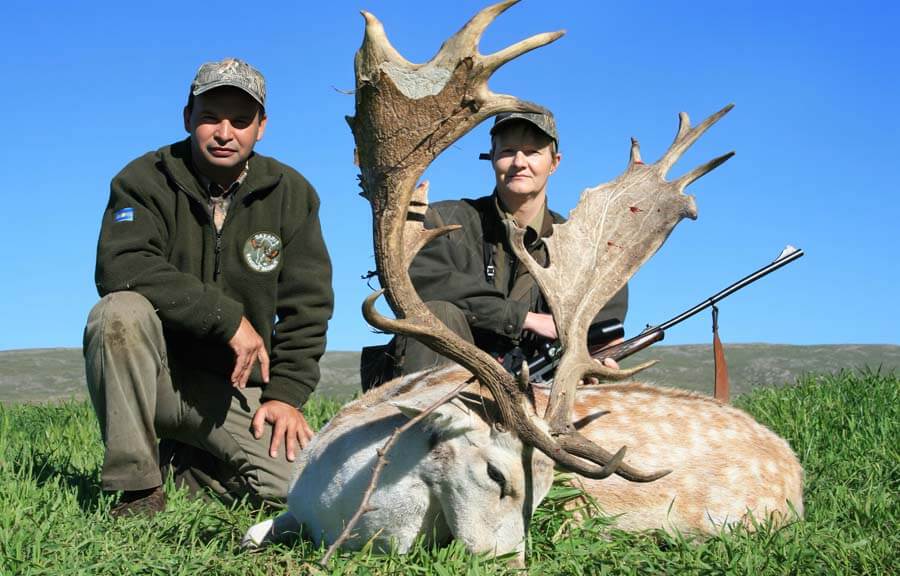 Rancho-Salvaje-Safaris-Fallow-Deer-16