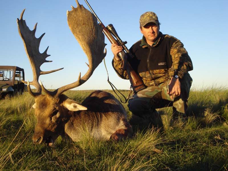 Rancho-Salvaje-Safaris-Fallow-Deer-2