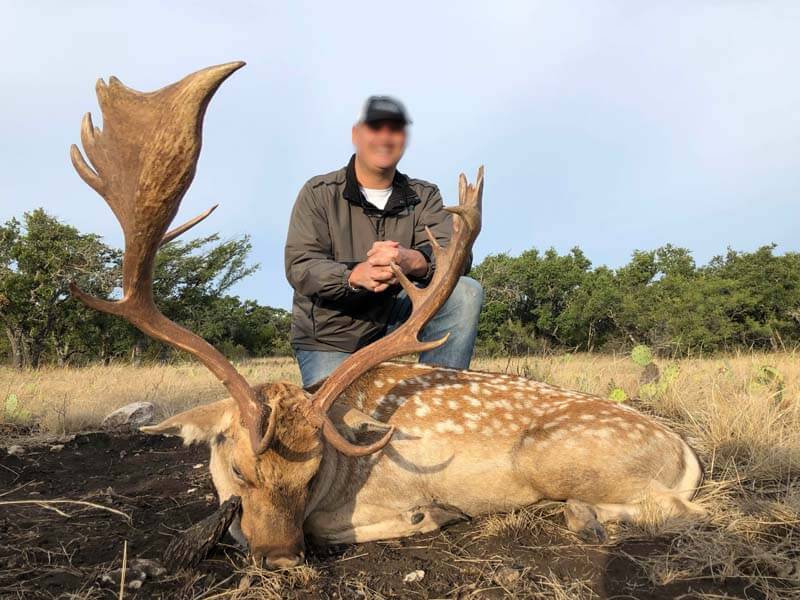 Rancho-Salvaje-Safaris-Fallow-Deer-5
