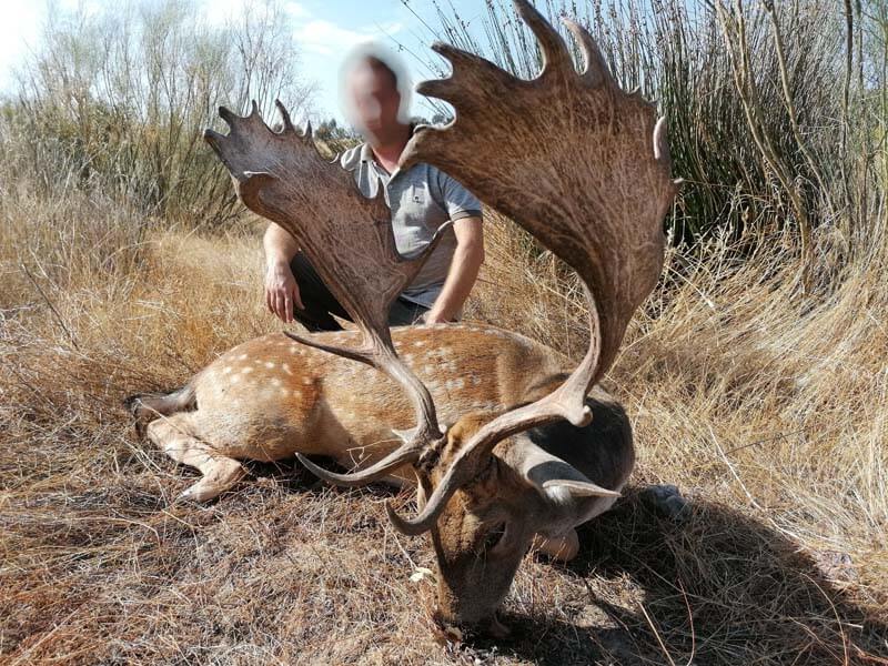 Rancho-Salvaje-Safaris-Fallow-Deer-6