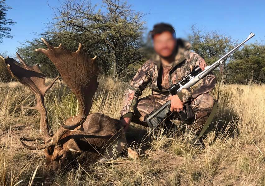 Rancho-Salvaje-Safaris-Fallow-Deer-7