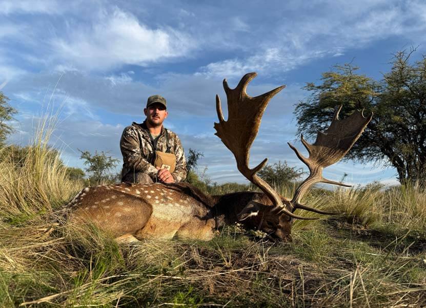 Rancho-Salvaje-Safaris-Fallow-Deer-9