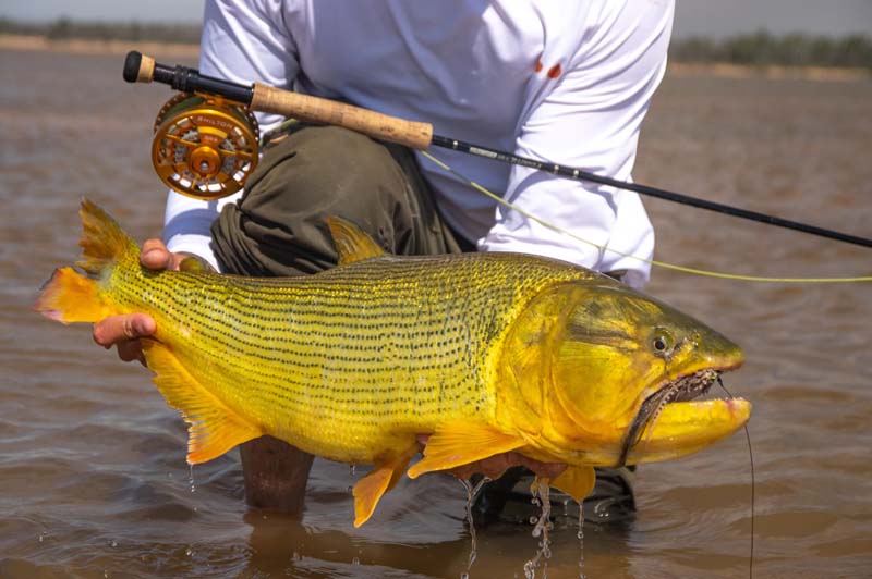 Rancho-Salvaje-Safari-Hunting-Argentina-Salto-Grande-10