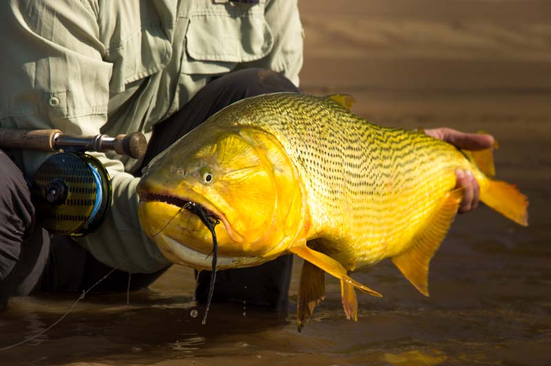 Rancho-Salvaje-Safari-Hunting-Argentina-Salto-Grande-11