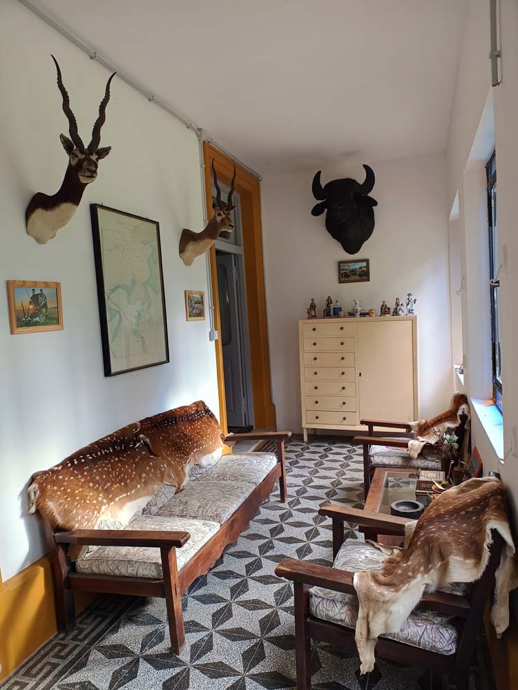 Rancho-Salvaje-Safaris-Hunting-Argentina-La-Mascota-9