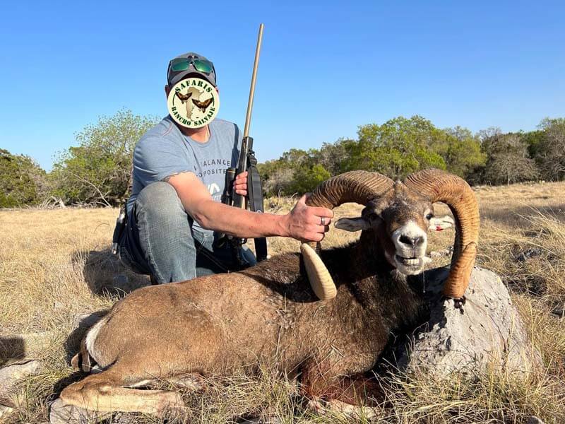 Rancho-Salvaje-Safaris-Muflon-1