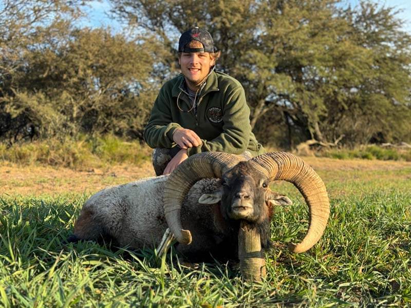 Rancho-Salvaje-Safaris-Muflon-12