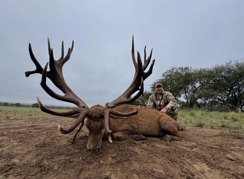 Rancho-Salvaje-Safaris-Patagonia-Red-Stag-14