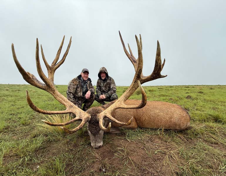 Rancho-Salvaje-Safaris-Patagonia-Red-Stag-22