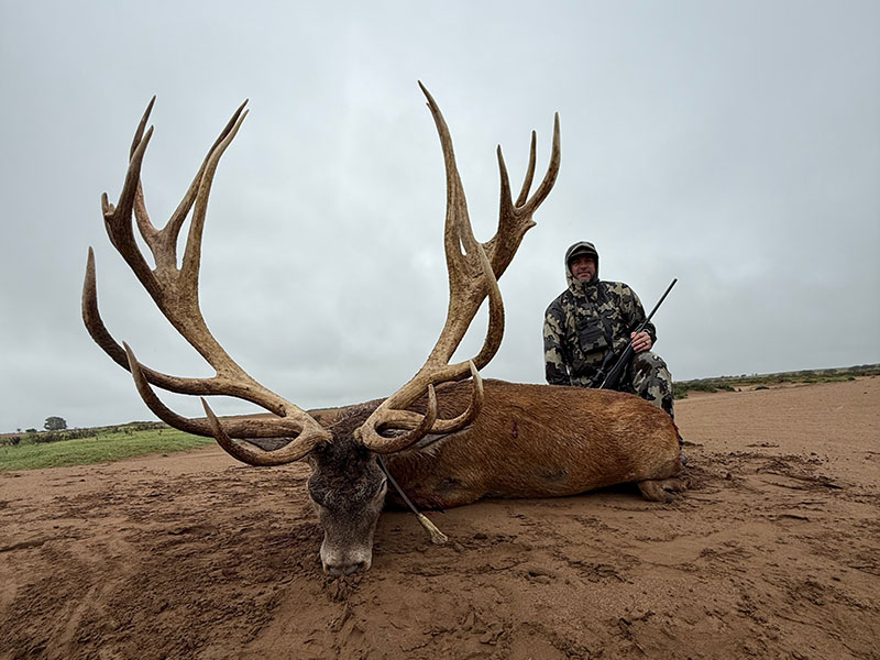 Rancho-Salvaje-Safaris-Patagonia-Red-Stag-23