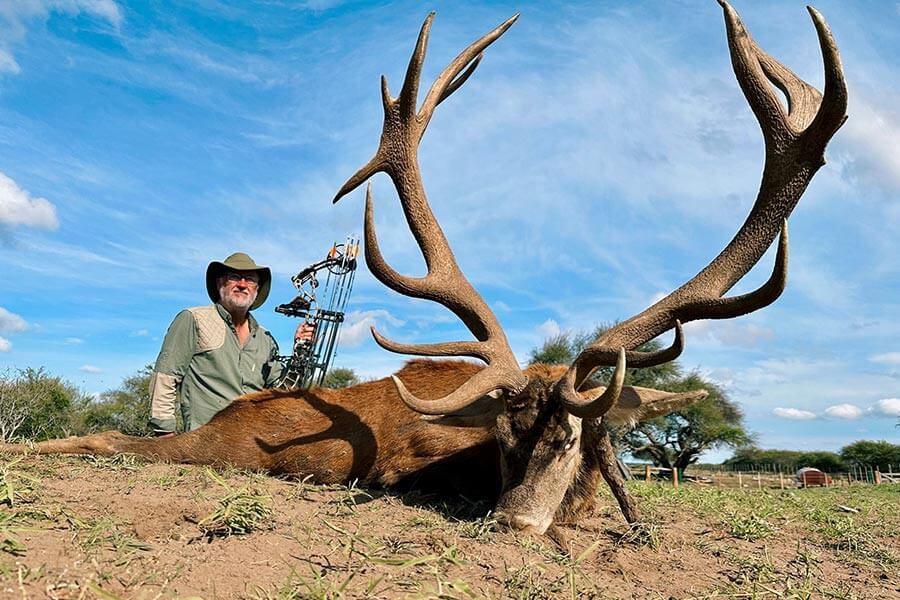 Rancho-Salvaje-Safaris-Patagonia-Red-Stag-4a