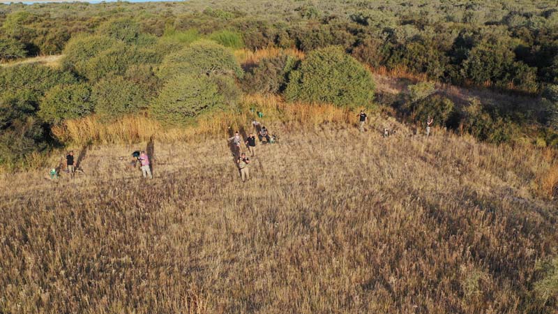 Rancho-Salvaje-Safari-Hunting-Argentina-Dove-Hunting-3a