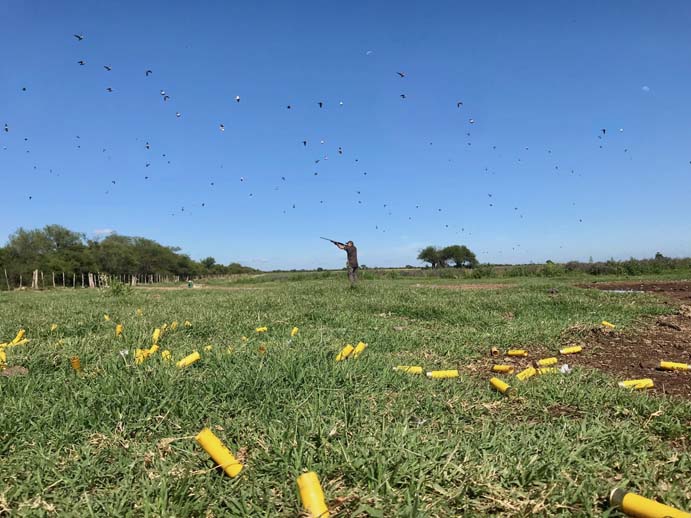 Rancho-Salvaje-Safari-Hunting-Argentina-Dove-Hunting-5