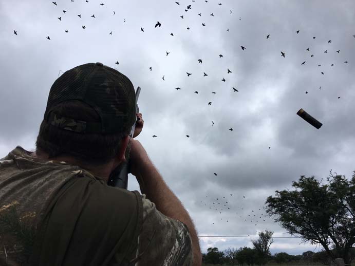 Rancho-Salvaje-Safari-Hunting-Argentina-Dove-Hunting-7