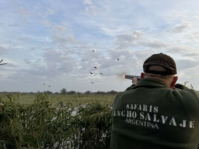 Rancho-Salvaje-Safari-Hunting-Argentina-Duck