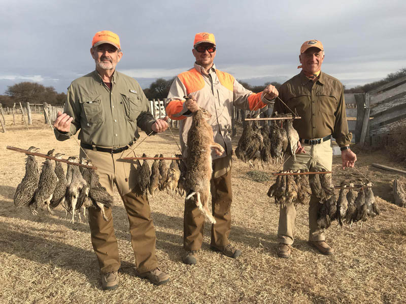 Rancho-Salvaje-Safari-Hunting-Argentina-Foret-Partridge-10