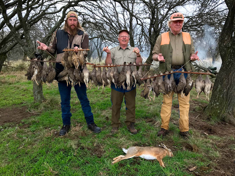 Rancho-Salvaje-Safari-Hunting-Argentina-Foret-Partridge-4