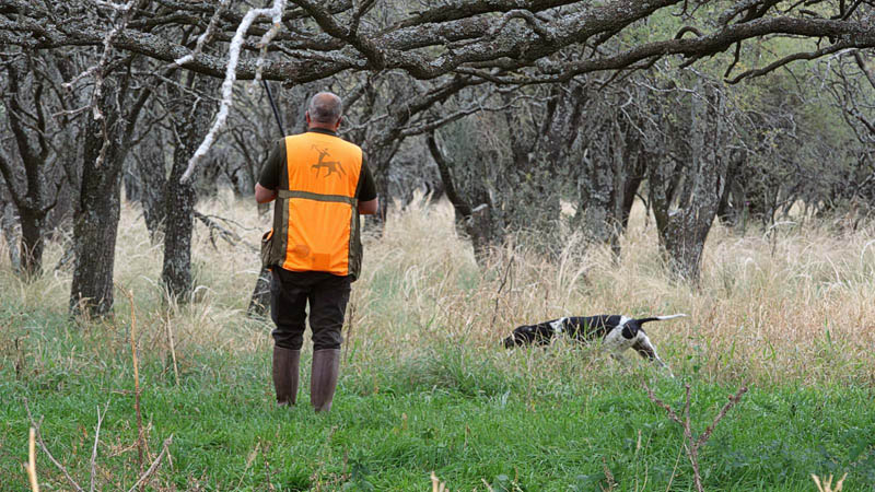 Rancho-Salvaje-Safari-Hunting-Argentina-Foret-Partridge-4a