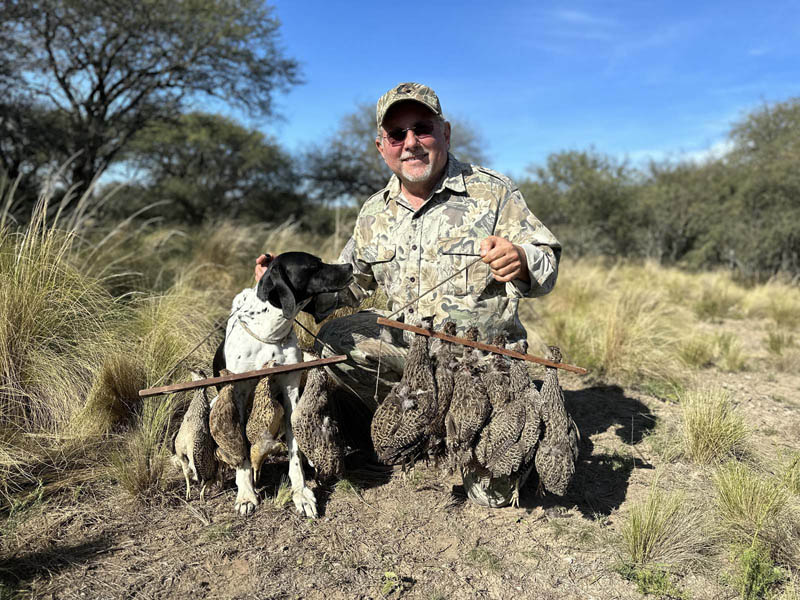 Rancho-Salvaje-Safari-Hunting-Argentina-Foret-Partridge-1