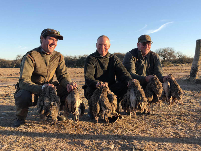 Rancho-Salvaje-Safari-Hunting-Argentina-Foret-Partridge-2