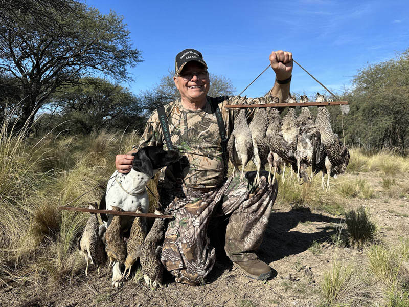 Rancho-Salvaje-Safari-Hunting-Argentina-Foret-Partridge-7