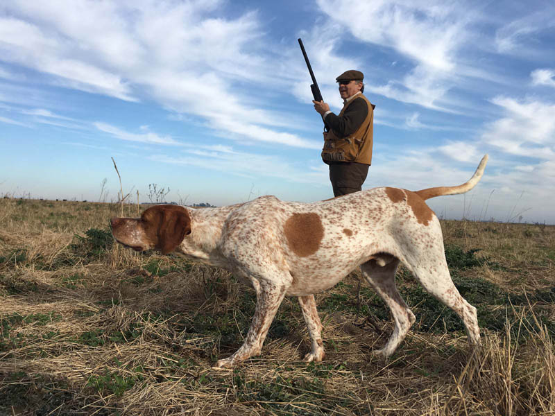 Rancho-Salvaje-Safari-Hunting-Argentina-Partridge-3