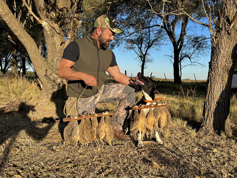Rancho-Salvaje-Safari-Hunting-Argentina-Partridge-12