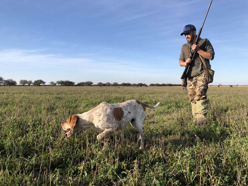 Rancho-Salvaje-Safari-Hunting-Argentina-Partridge-4a