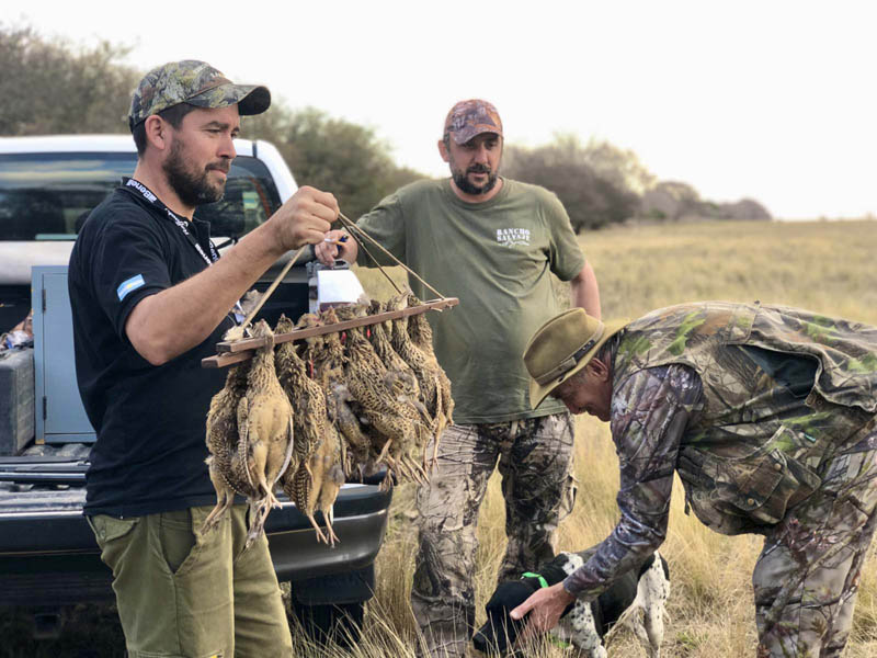 Rancho-Salvaje-Safari-Hunting-Argentina-Partridge-4
