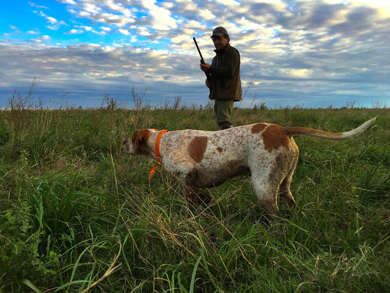 Rancho-Salvaje-Safari-Hunting-Argentina-Partridge-6
