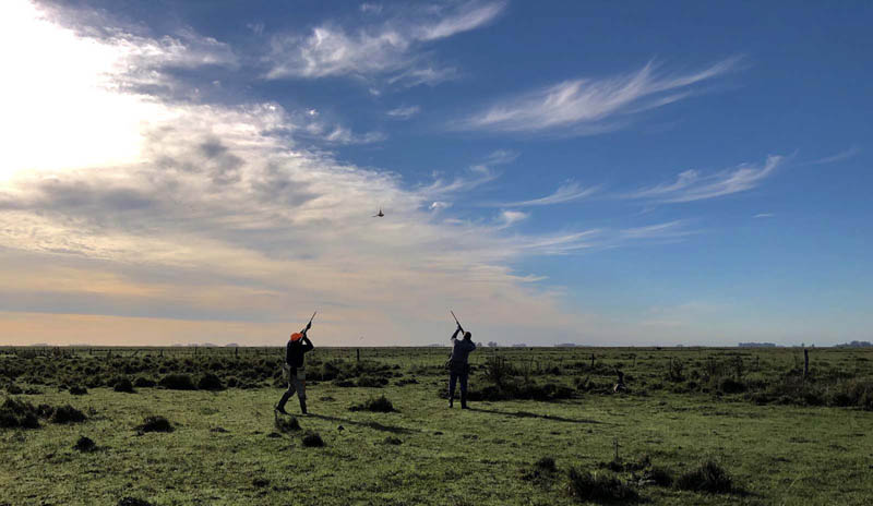 Rancho-Salvaje-Safari-Hunting-Argentina-Partridge-8