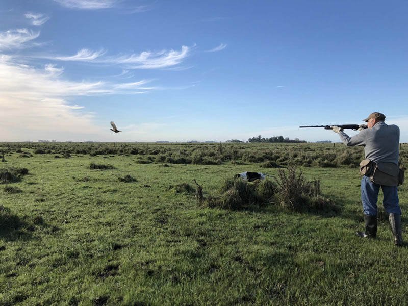 Rancho-Salvaje-Safari-Hunting-Argentina-Partridge-9